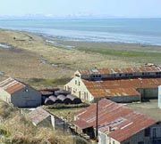 Pilot Point cannery