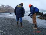 beach survey