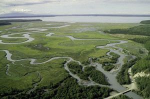 Operable Unit C: Eagle River Flats.