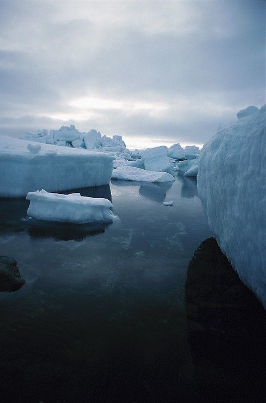 Iceberg