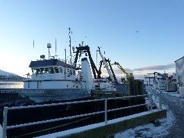 marine source pix