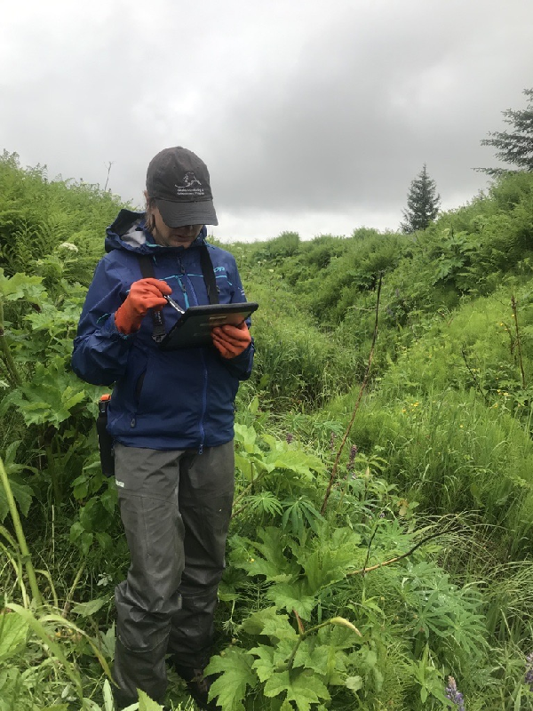 amber-sampling