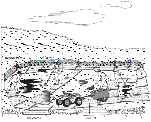 Site management