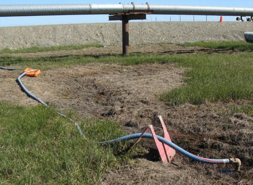 dewatering