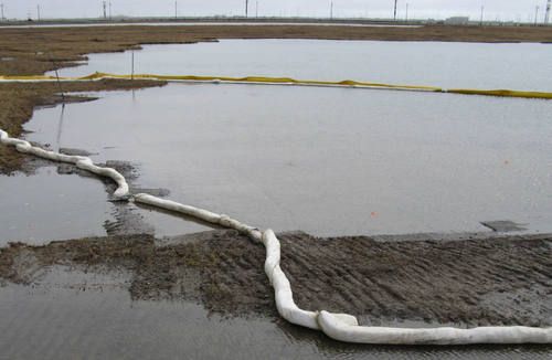 Sorbents on pond