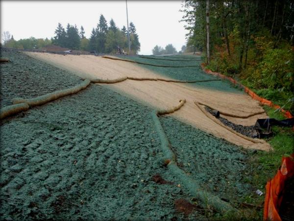 stormwater image