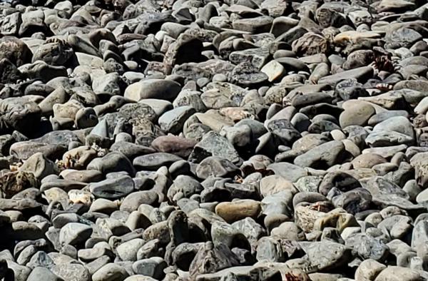Gravel