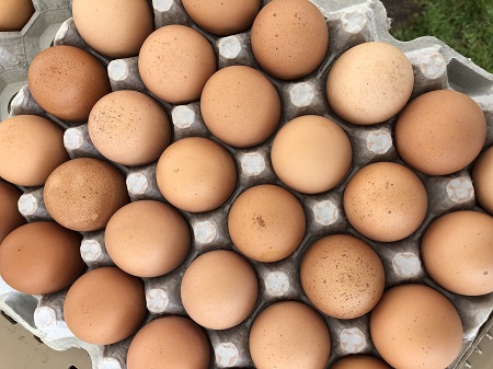 Crate of eggs
