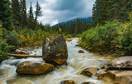 Remote stream