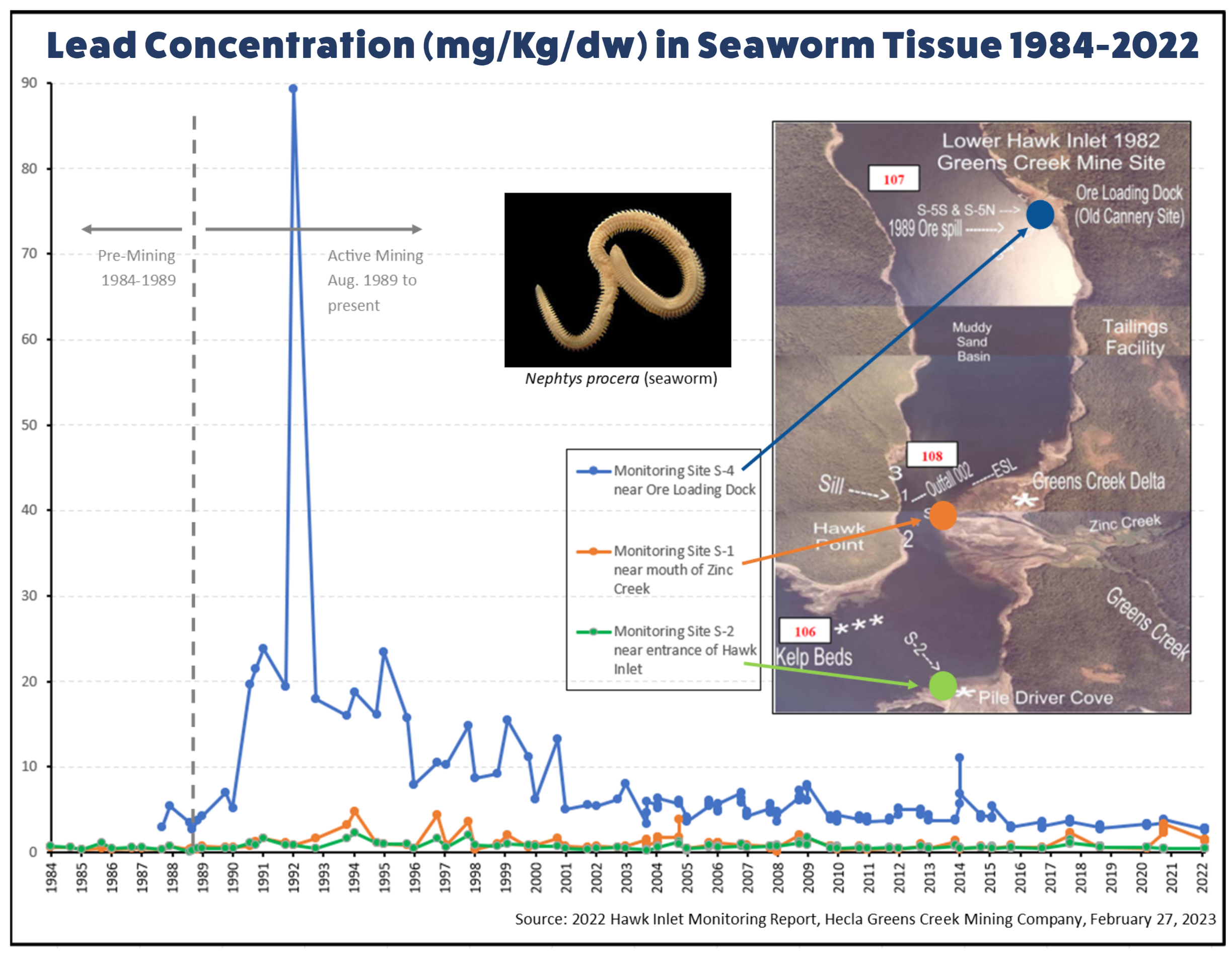 Graph displaying the progression of lead concentration (mg/Kg/dw) in Seaowrm Tissue from 1984 to 2022. There is a clear spike in concentration shortly following the ore spill, but the lead levels steadily decline in the years following.