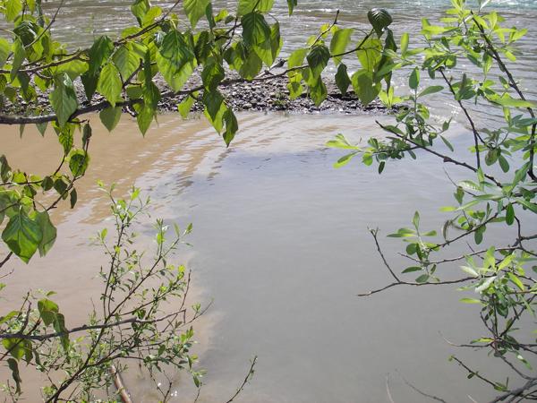 Turbid Water
