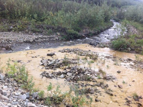 Turbid Water Stream