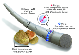 particle size image